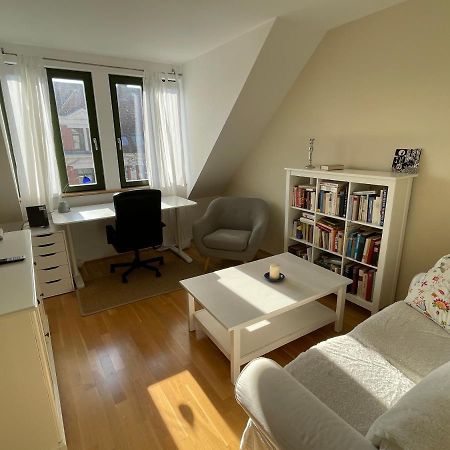 Loft Mit 2 Terrassen - Ruhig&Sonnig Apartman Lipcse Kültér fotó