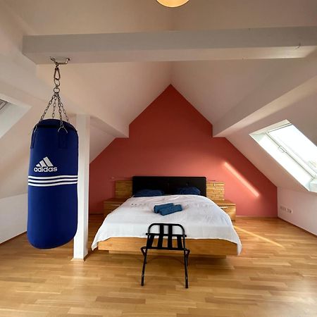 Loft Mit 2 Terrassen - Ruhig&Sonnig Apartman Lipcse Kültér fotó