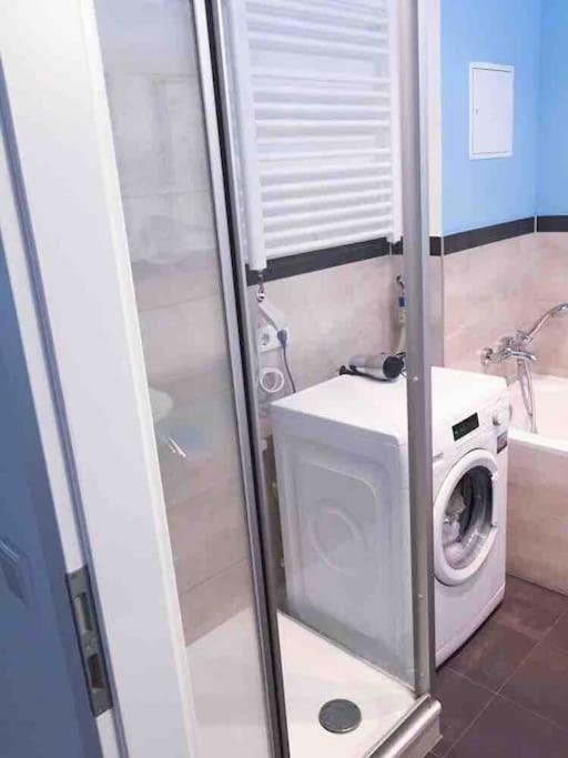 Loft Mit 2 Terrassen - Ruhig&Sonnig Apartman Lipcse Kültér fotó