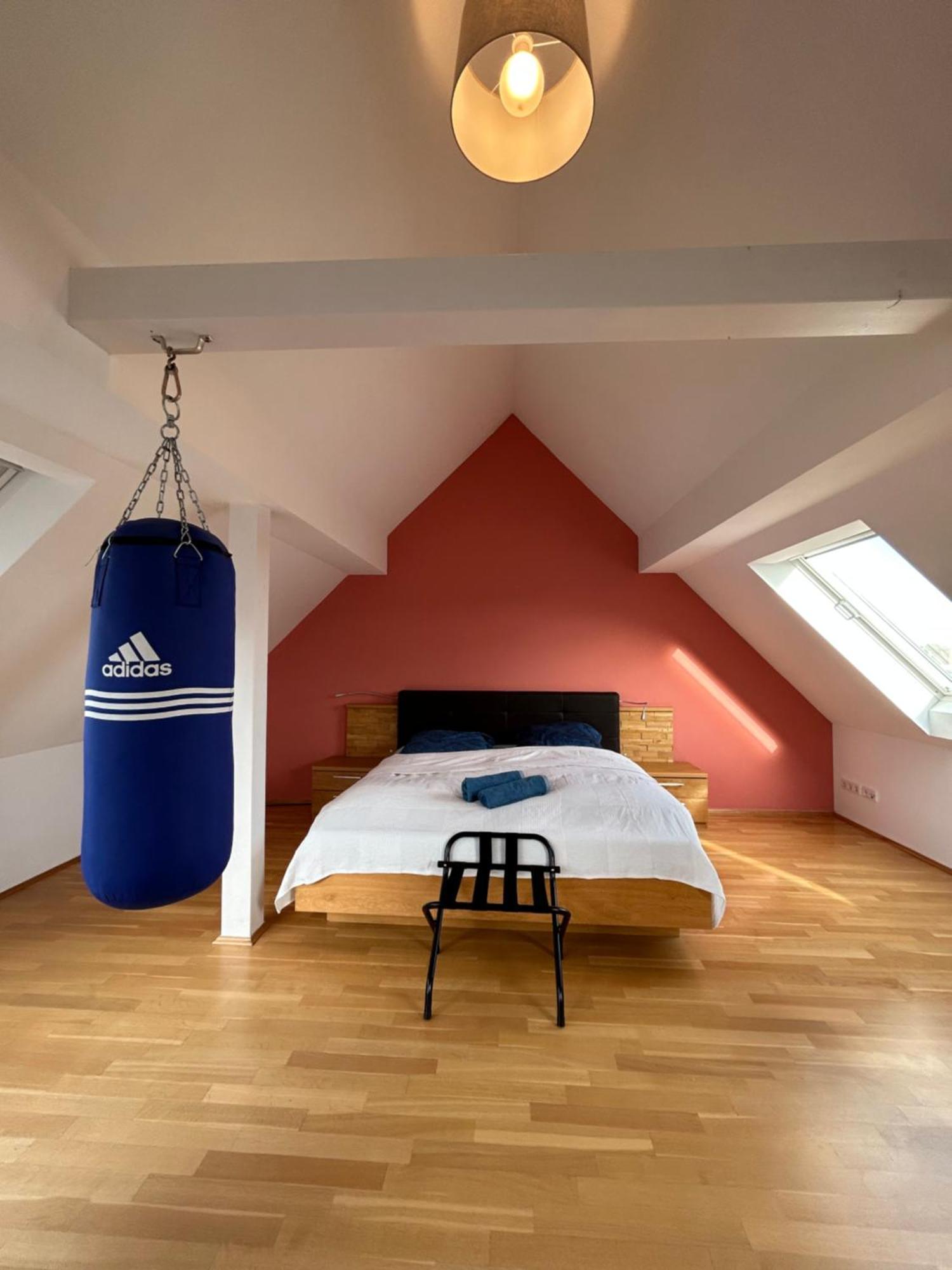 Loft Mit 2 Terrassen - Ruhig&Sonnig Apartman Lipcse Kültér fotó